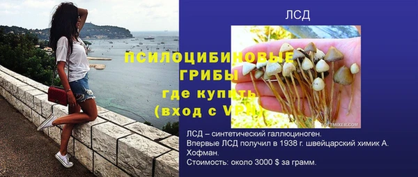 дживик Армянск