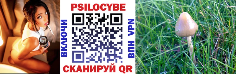 Псилоцибиновые грибы Psilocybine cubensis  Приморск 
